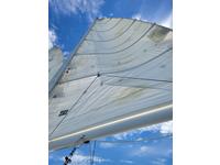 Freedom 33' Cat Ketch Click to launch Larger Image