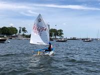 2019 Rye New York  Winner 3D Flex OPTI