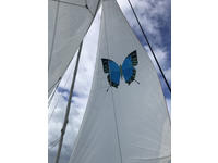 Lagoon 380 Click to launch Larger Image