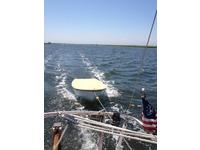 Dyer 8 Click to launch Larger Image