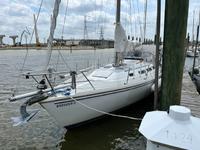 Catalina MKII 36 Tall Rig Click to launch Larger Image