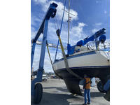 Seawind Trumbly Click to launch Larger Image