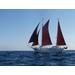 laser sailboat for sale arizona